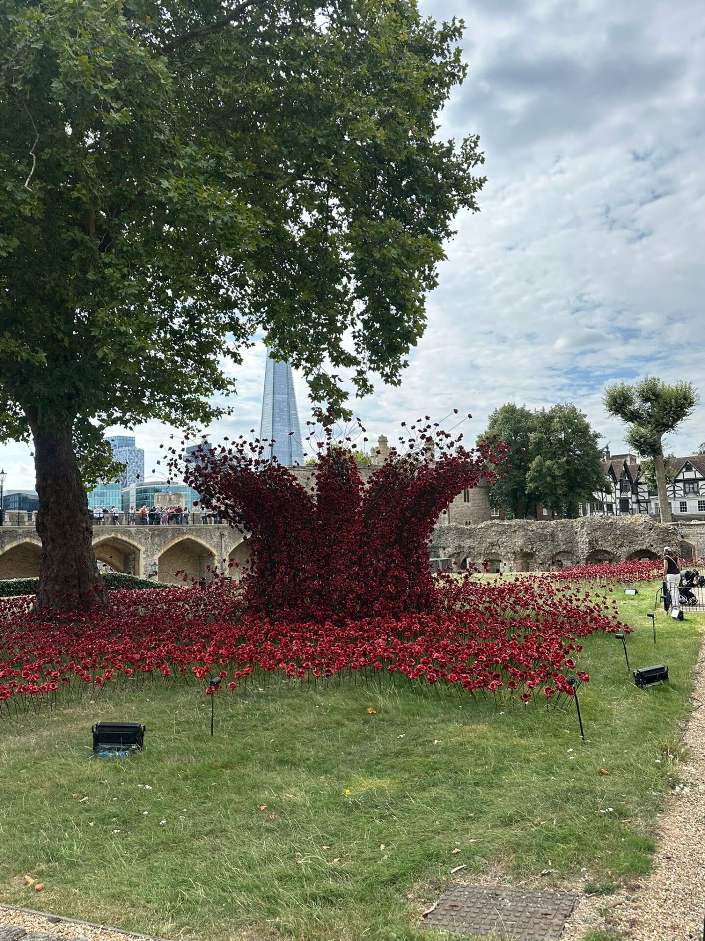 Poppy display at the Tower of London, The Shard in the background