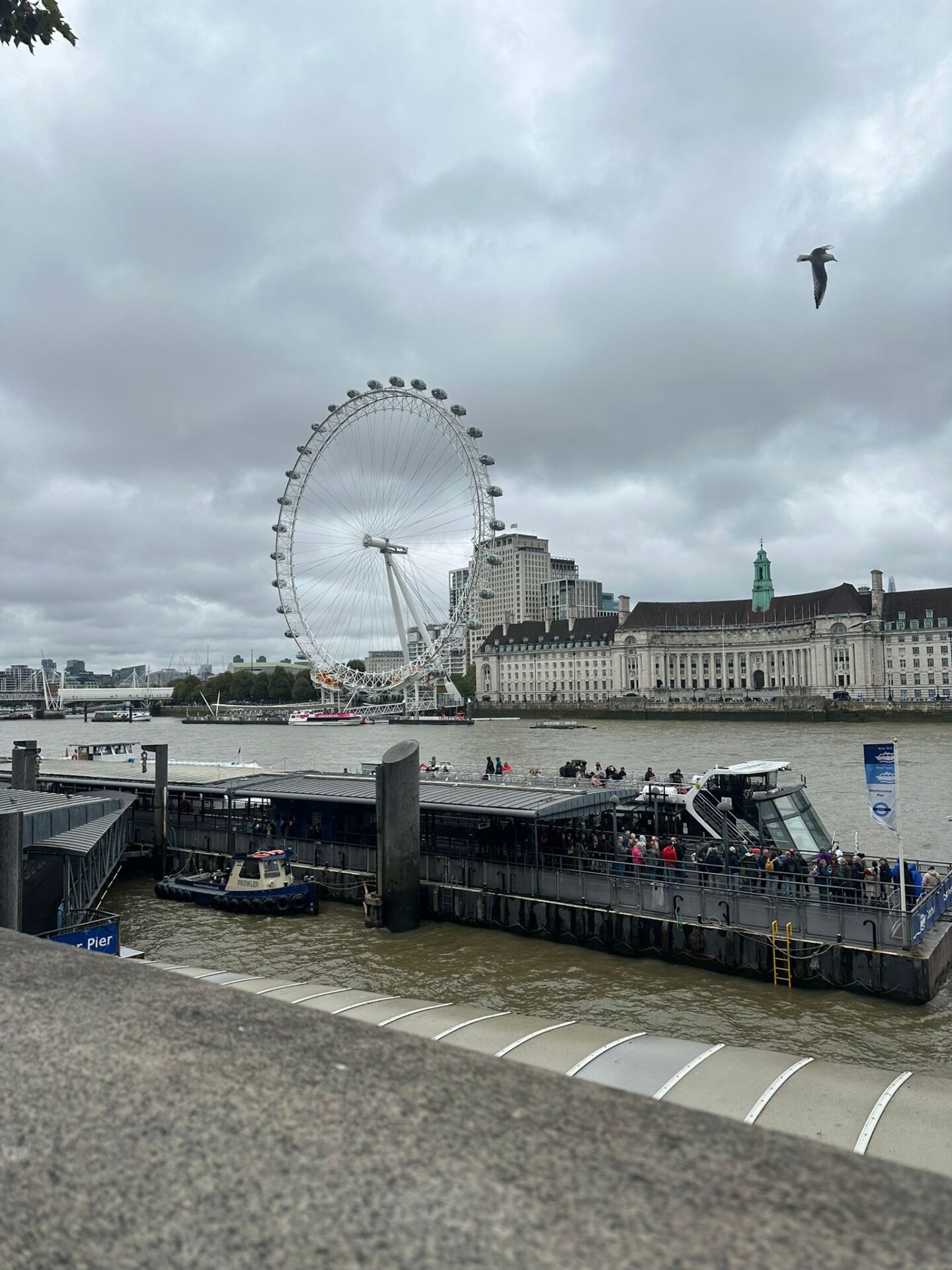 The London Eye from the Thames banks