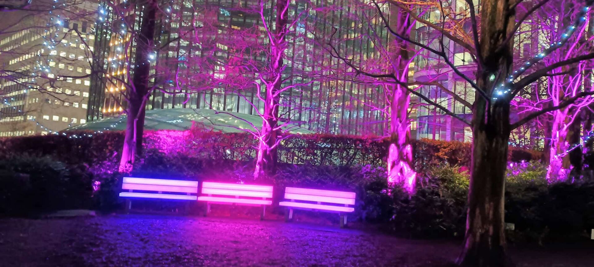 9 winterlights 2026